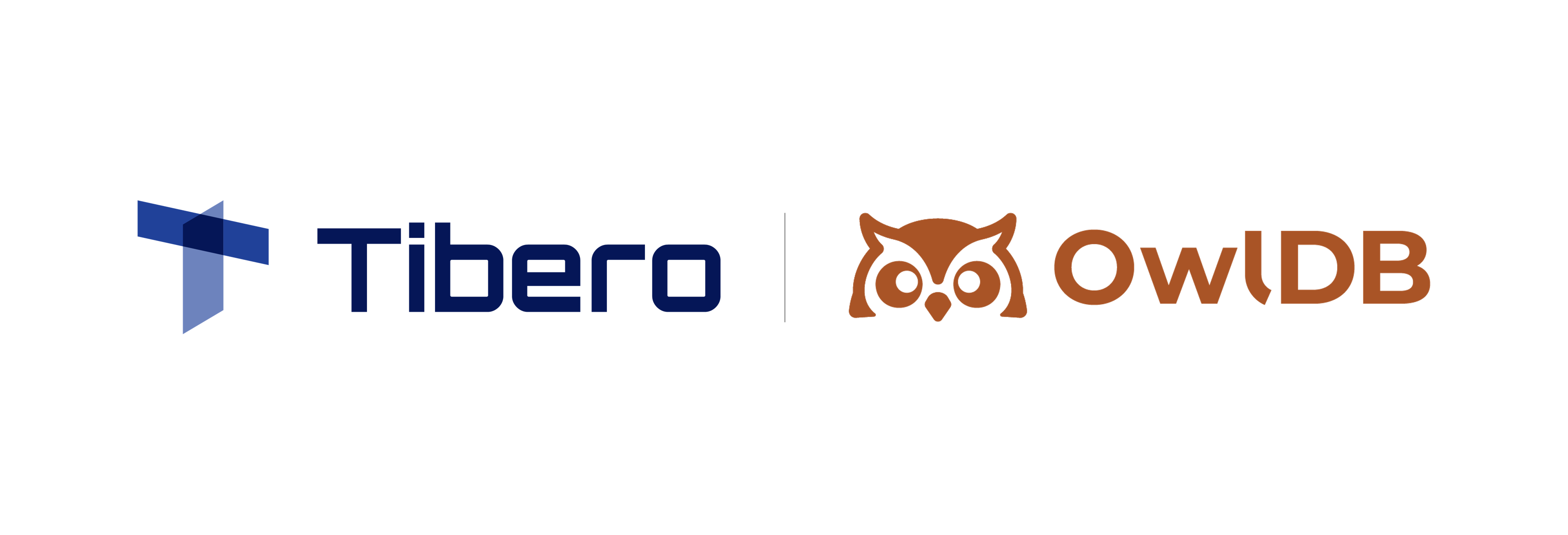 Tibero Expands Multi-Tenancy Strategy with Flexible Deployment Models