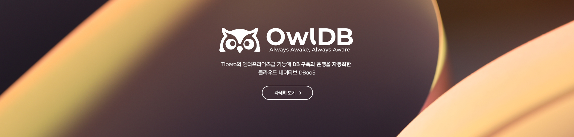 OwlDB