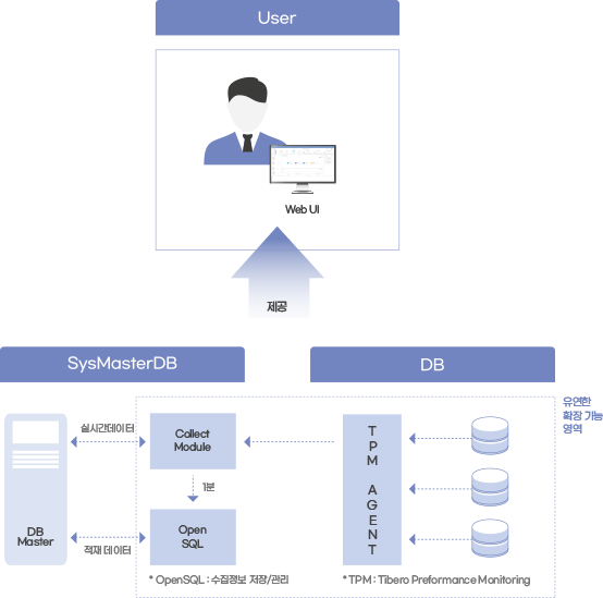 Open SQL